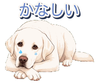 Joeyの動くスタンプ