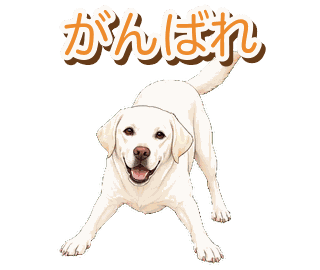 Joeyの動くスタンプ
