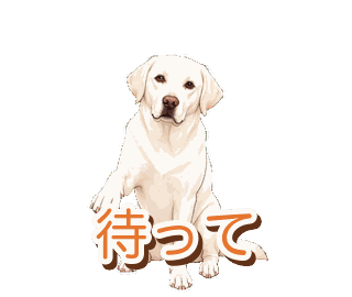 Joeyの動くスタンプ