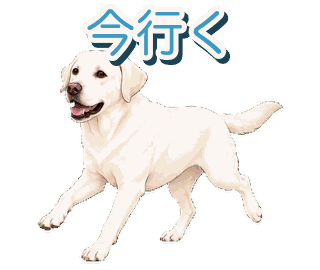 Joeyの動くスタンプ